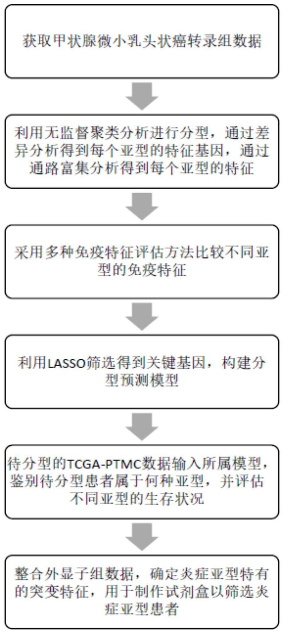 一种对甲状腺微小乳头状癌进行分子分型的方法以及分子标志物应用与流程