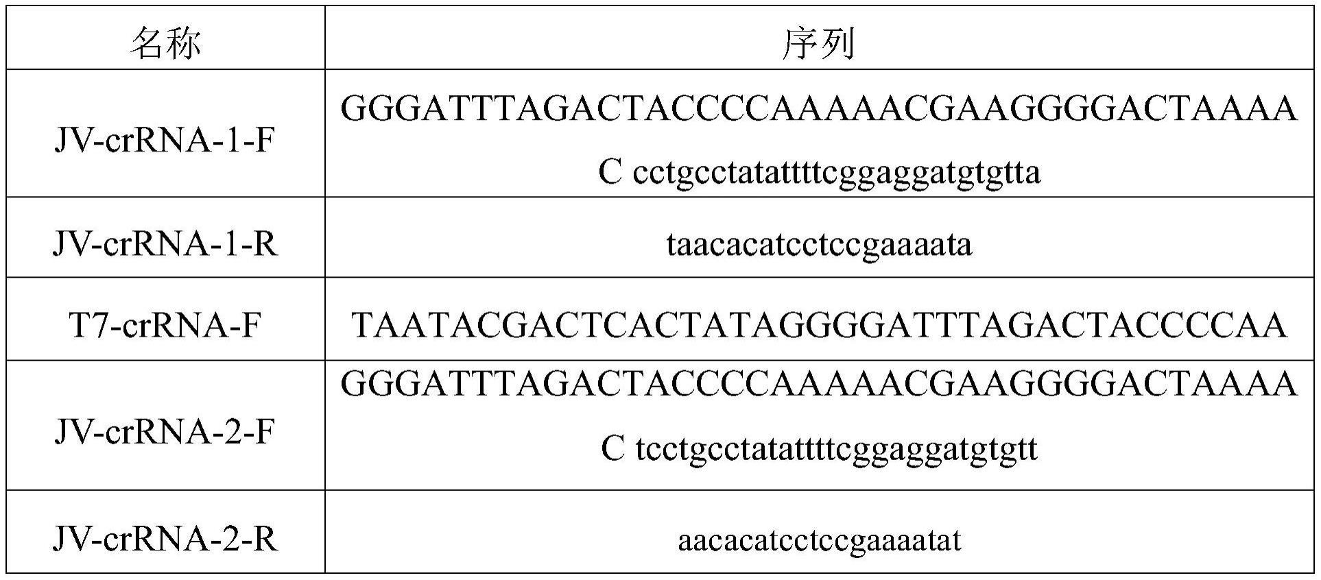 一种用于检测鸠宁病毒的crRNA靶点及CRISPR-Cas13a系统