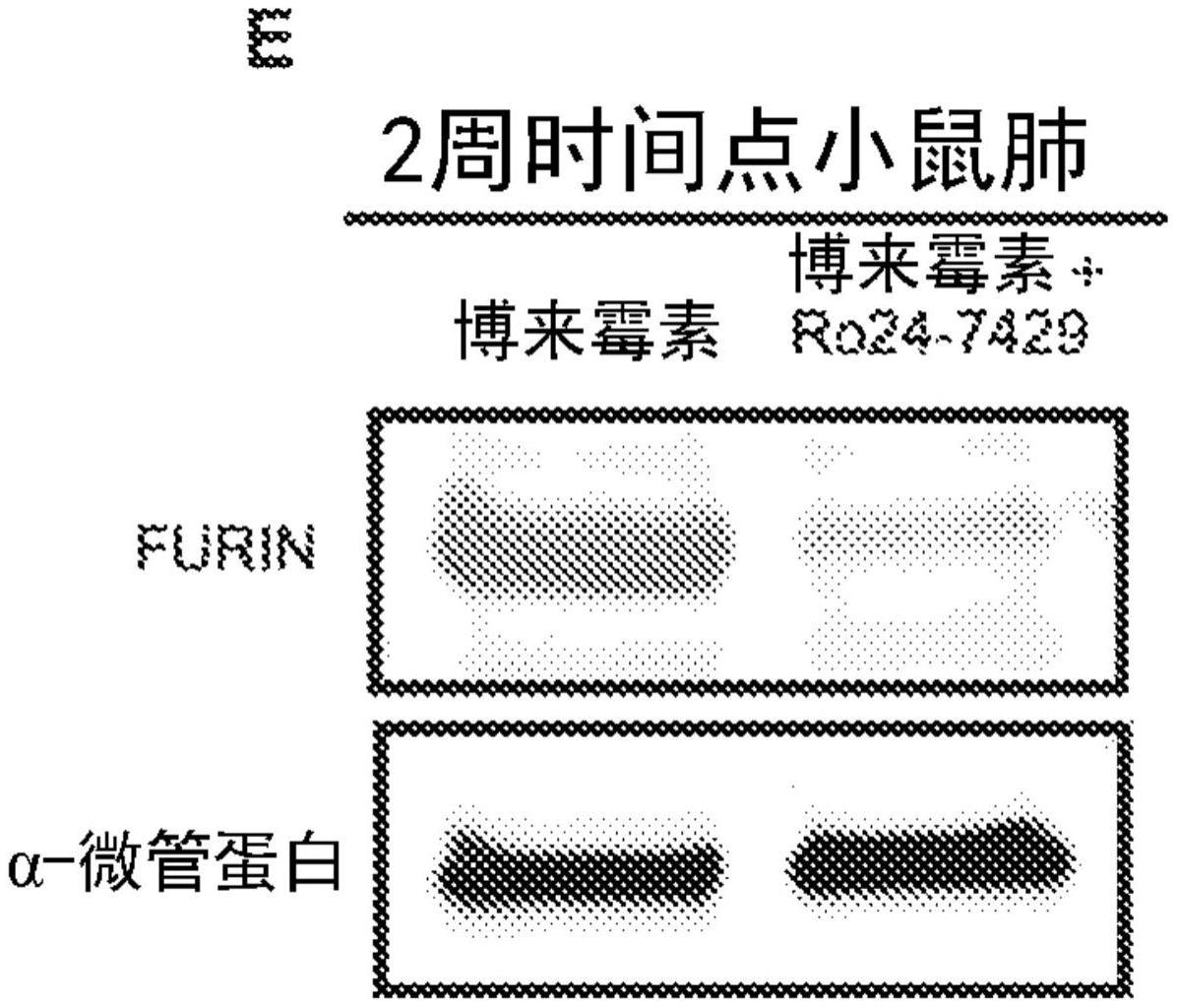 用于治疗纤维化的方法和材料与流程