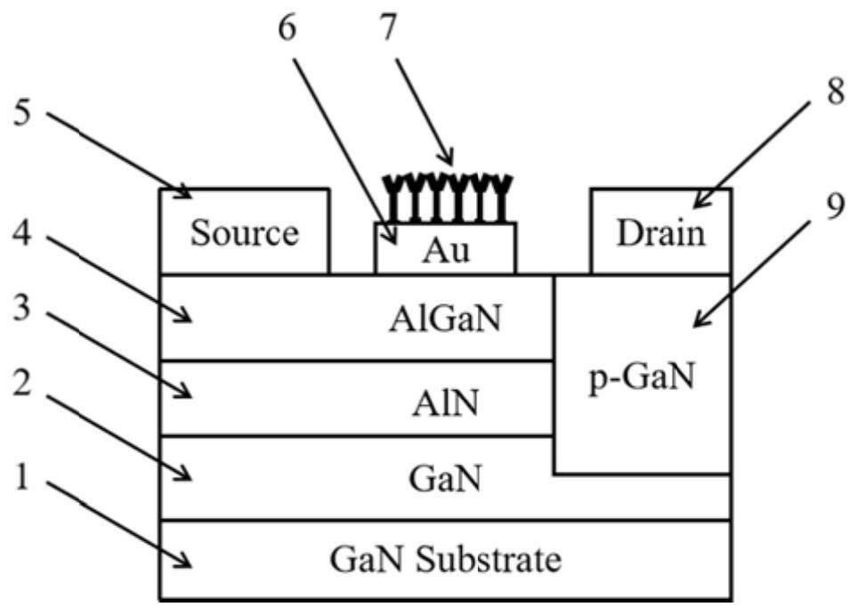 一种氮化镓基病毒自检自杀器件的制备方法