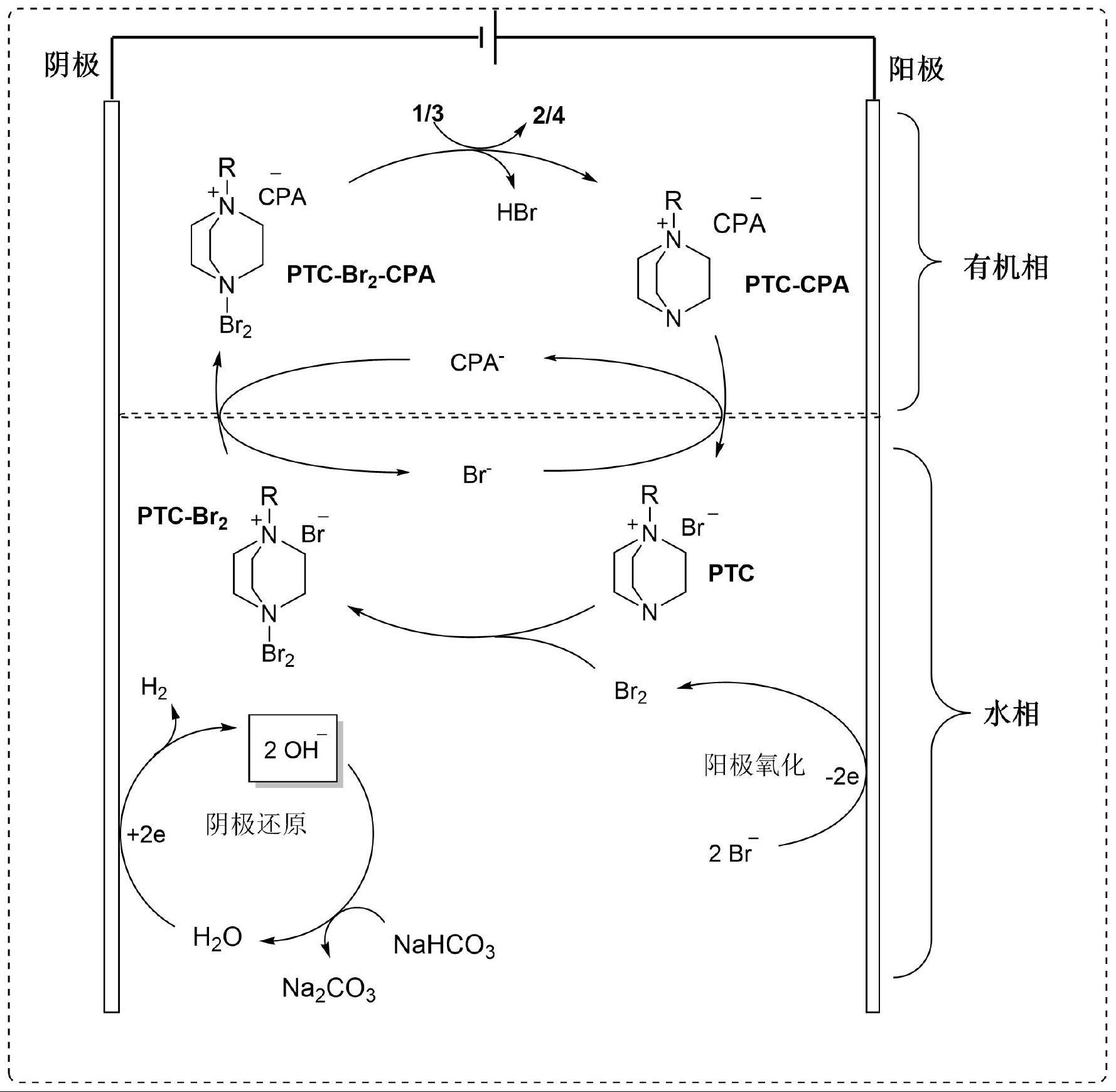 手性溴代环合物及电化学制备手性溴代环合物的方法与流程