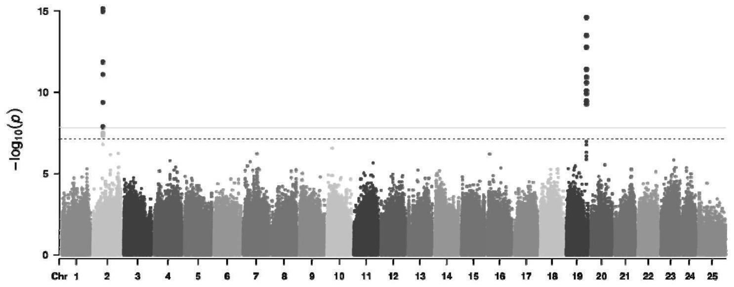 赤点石斑鱼抗神经坏死病病毒育种的SNP标记及应用的制作方法