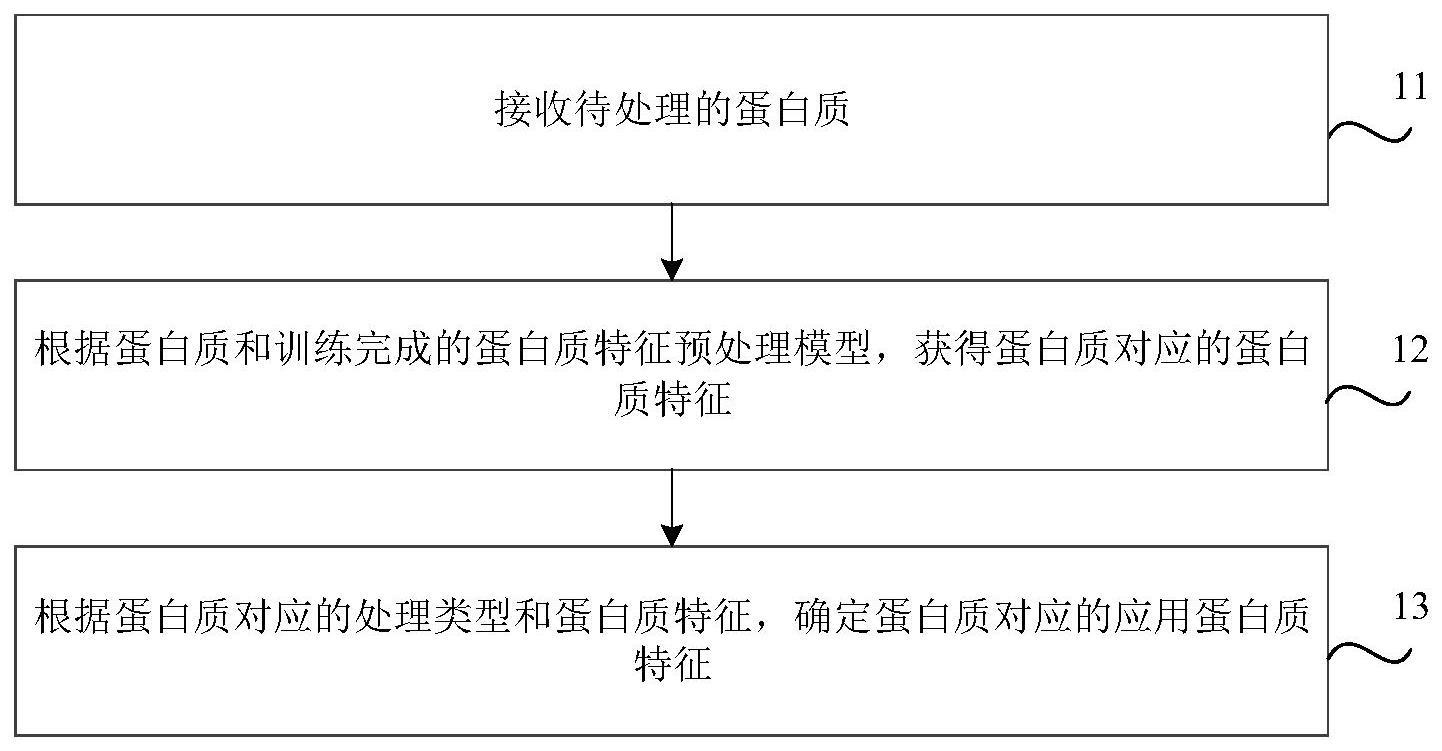 蛋白质特征预处理方法、装置、介质及设备与流程