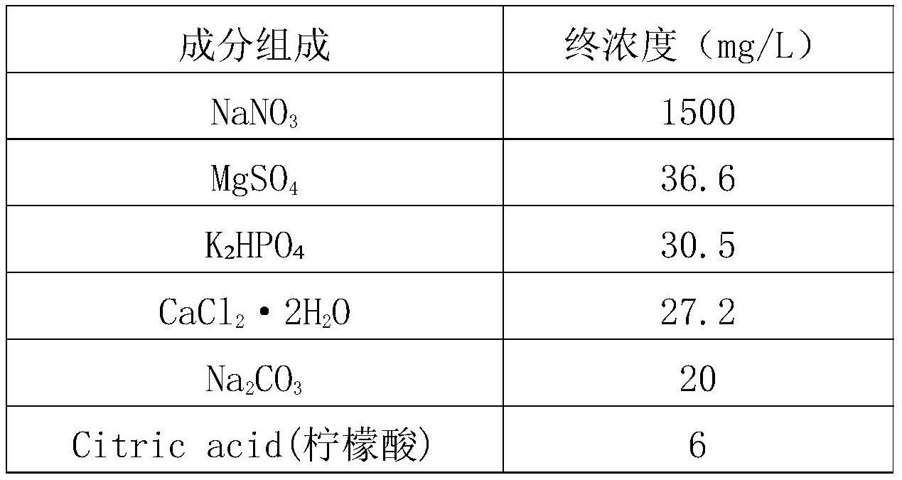 光合固氮红细菌新物种及其应用的制作方法