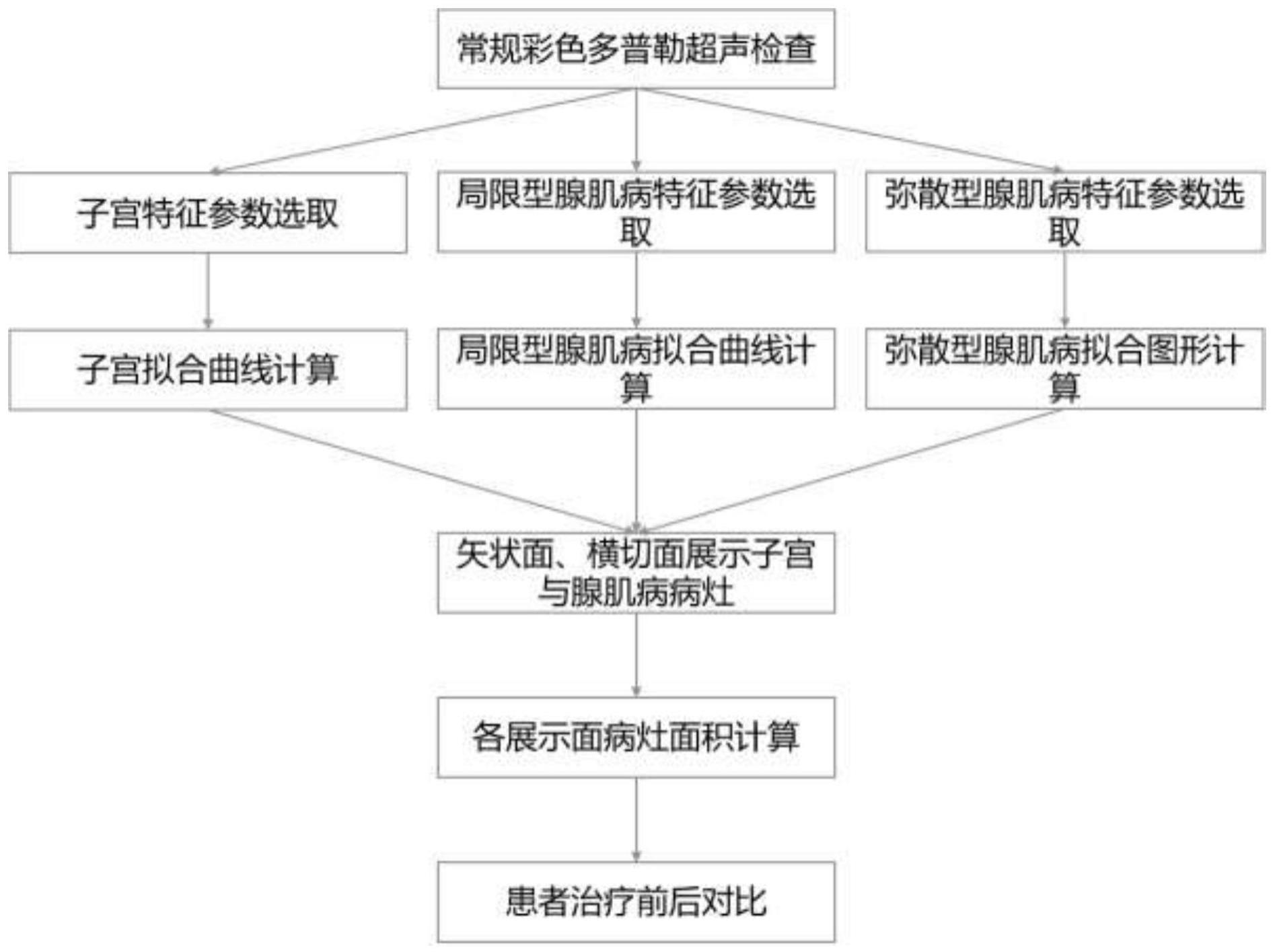 一种基于超声测量值的子宫腺肌病建模方法与流程