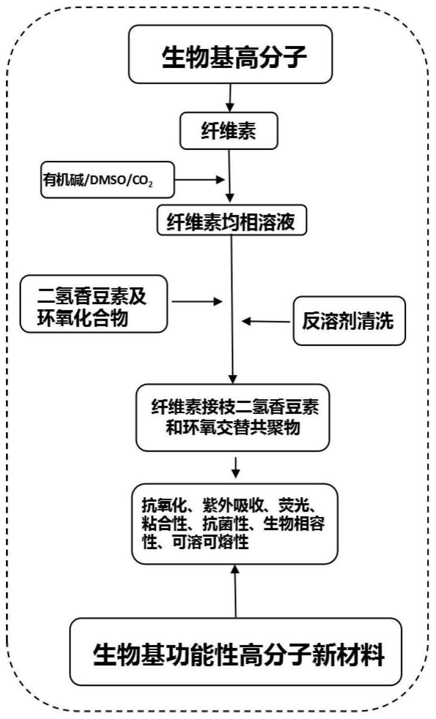 纤维素接枝二氢香豆素和环氧交替共聚物及其制备方法