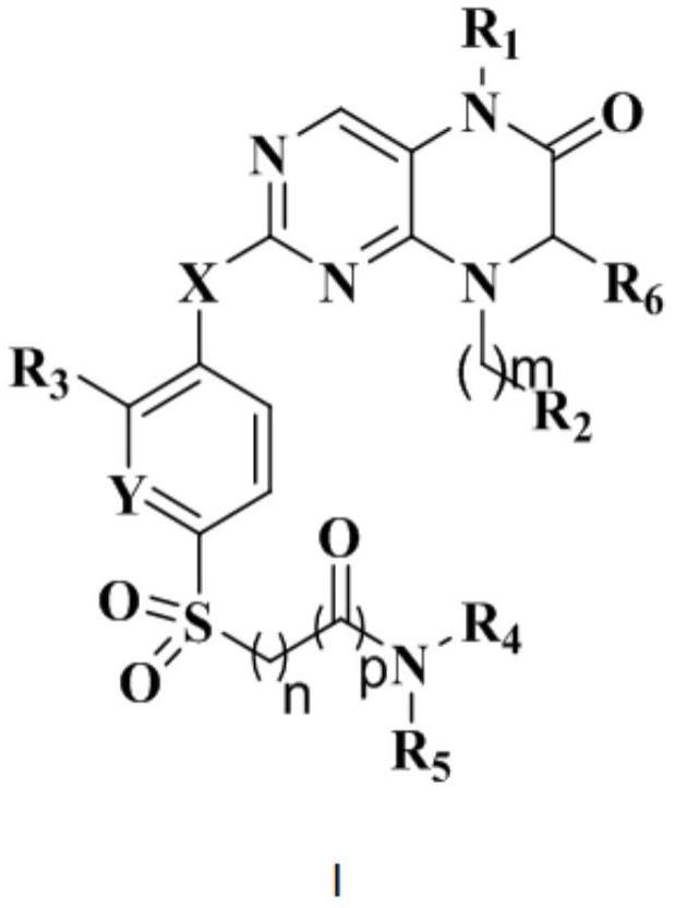 含磺酰基的二氢喋啶酮衍生物及其应用