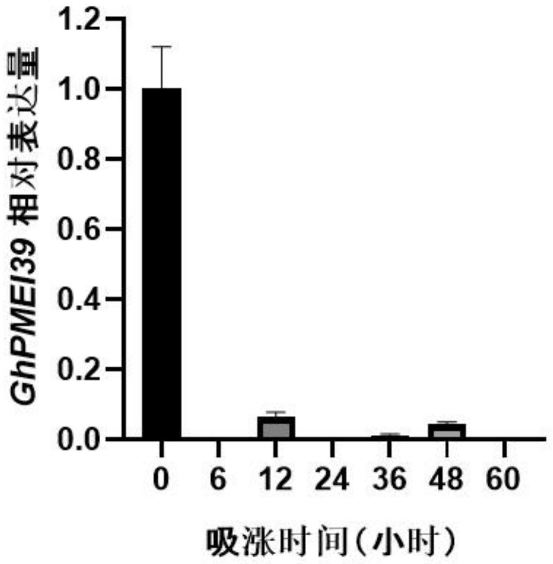 果胶甲酯酶抑制因子基因GhPMEI39或其同源基因在提高植物种子活力中的应用的制作方法