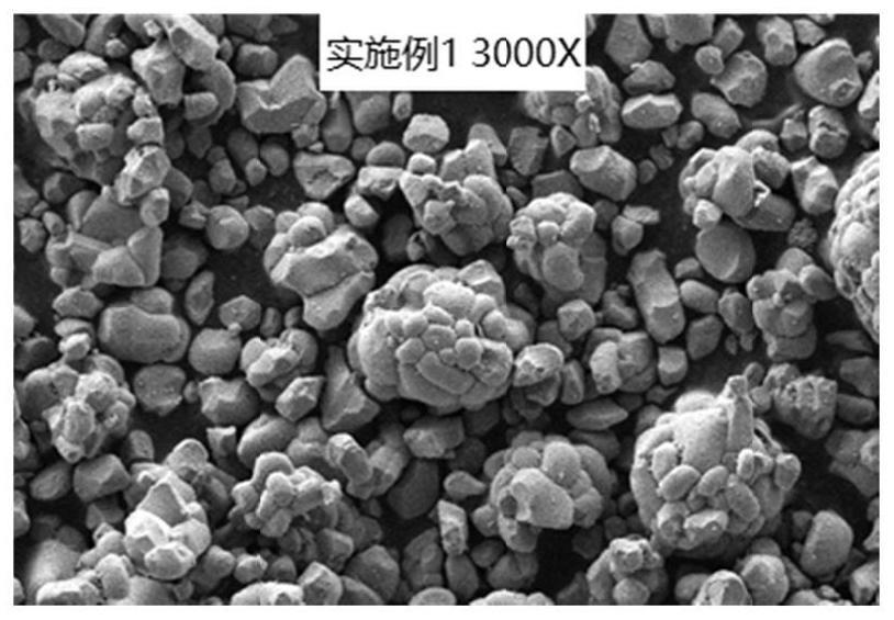 一种正极活性材料、锂离子二次电池和用电设备的制作方法