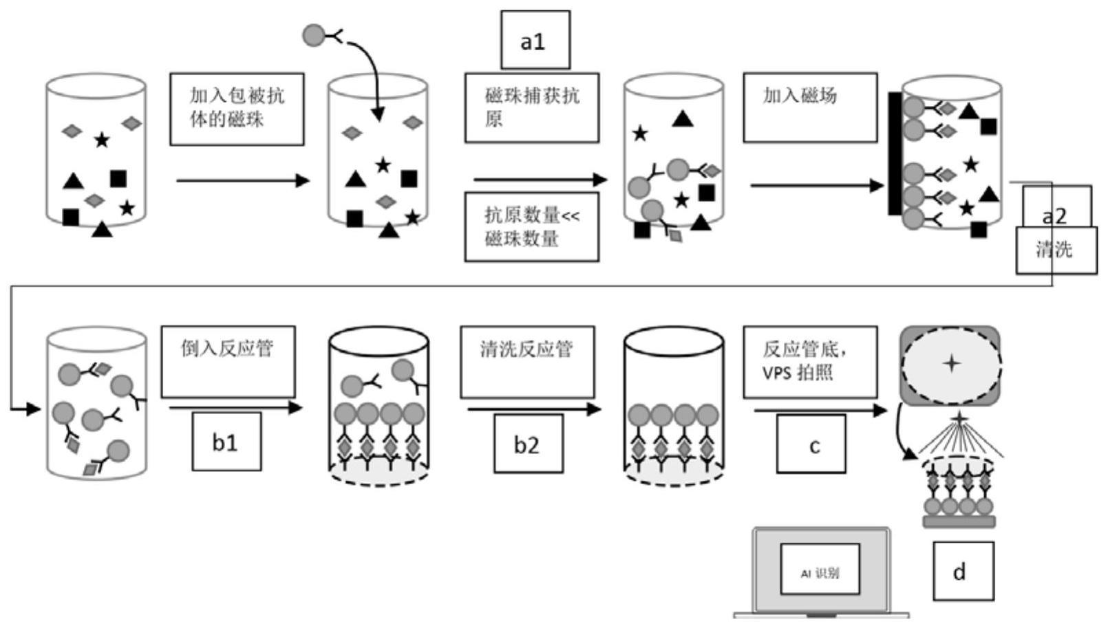 一种无标记磁珠平面显微计数的数字免疫分析方法与流程