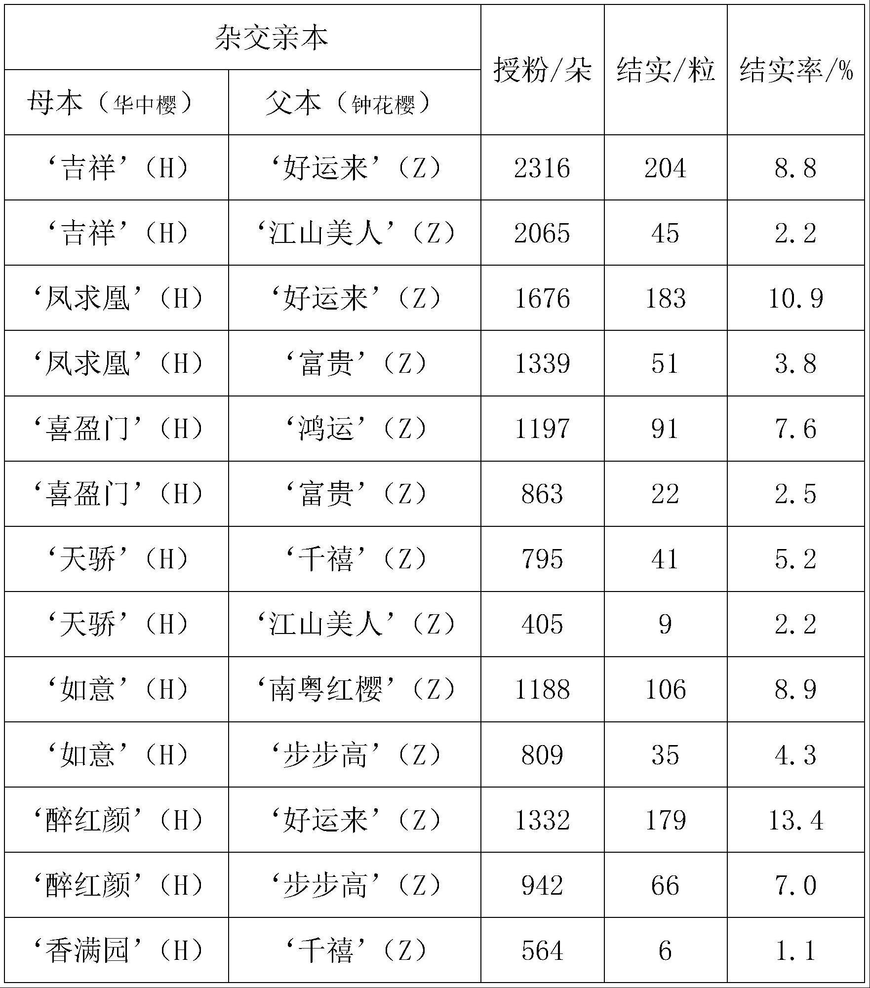 一种华中樱与钟花樱种间杂交新品种的快速育种方法与流程