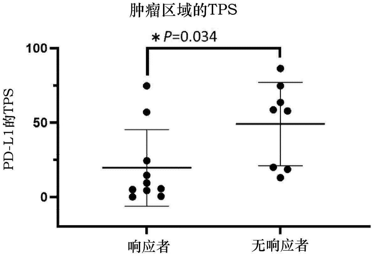 用于光免疫疗法的方法和相关生物标志物与流程