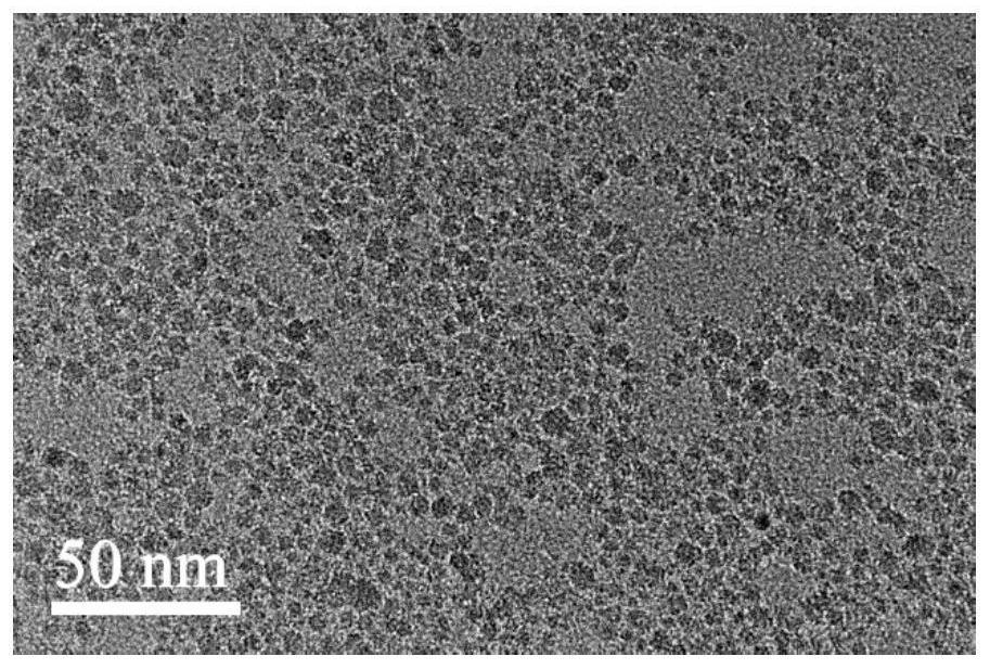 一种掺铒硅量子点晶体材料、其制备方法及应用