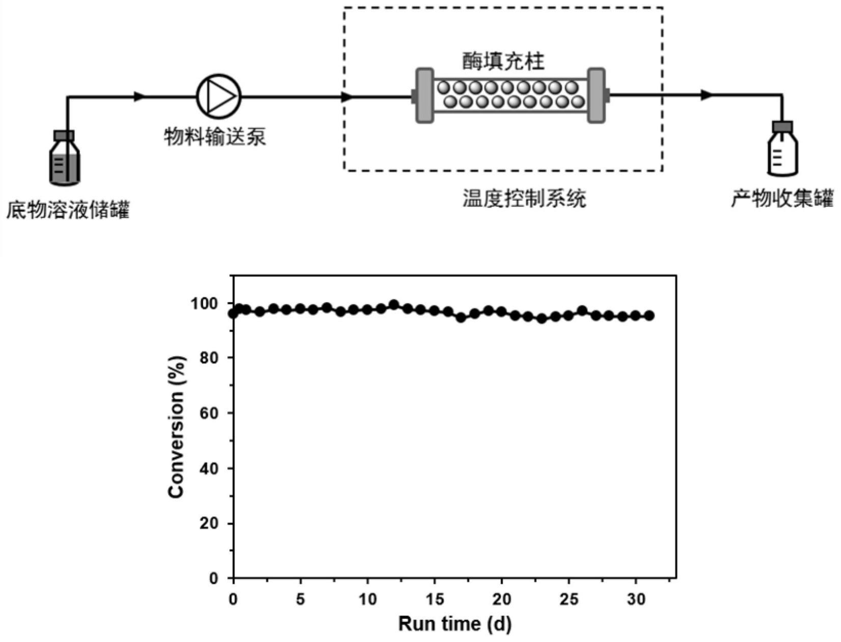 7β-羟基类固醇脱氢酶突变体及其在合成熊去氧胆酸中的应用