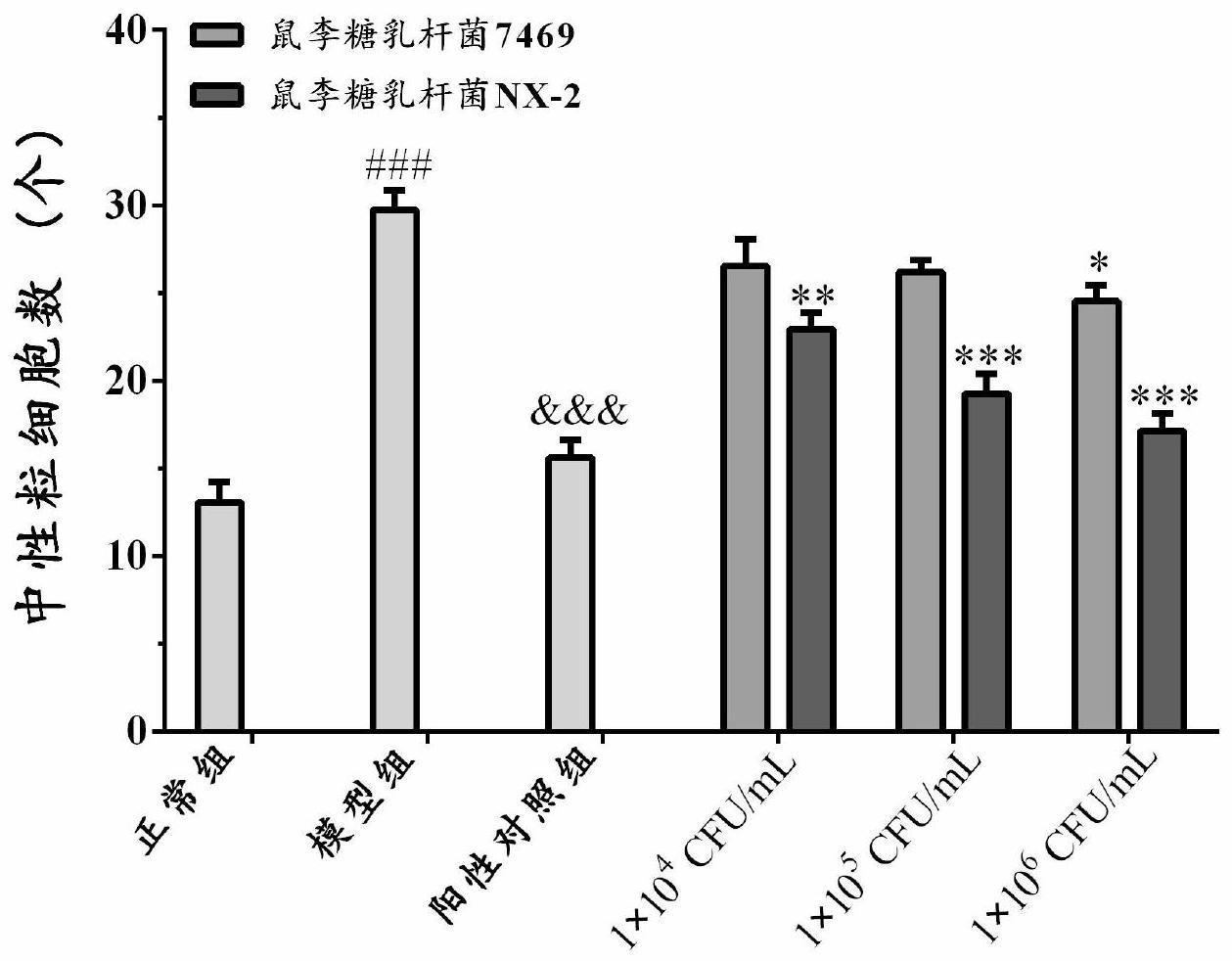 鼠李糖乳杆菌NX-2在制备缓解病毒性肺炎药物中的应用的制作方法