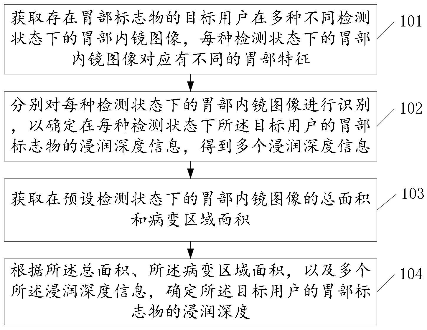 胃部标志物的浸润深度检测方法、装置及存储介质与流程