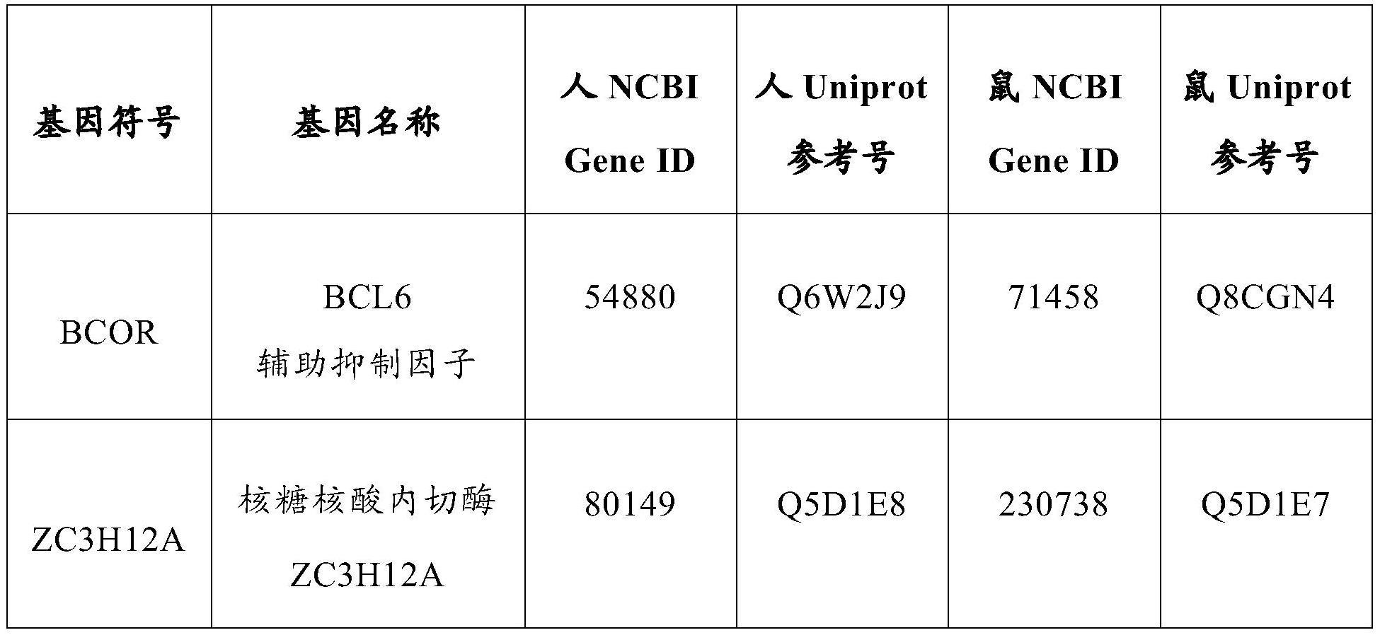 增强免疫细胞持久性的方法