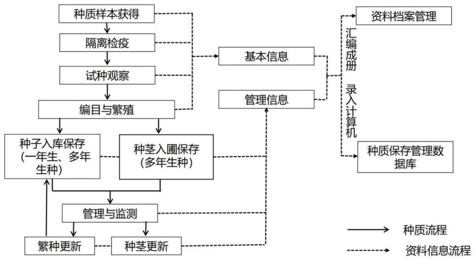 一种野生稻异位盆栽保存方法