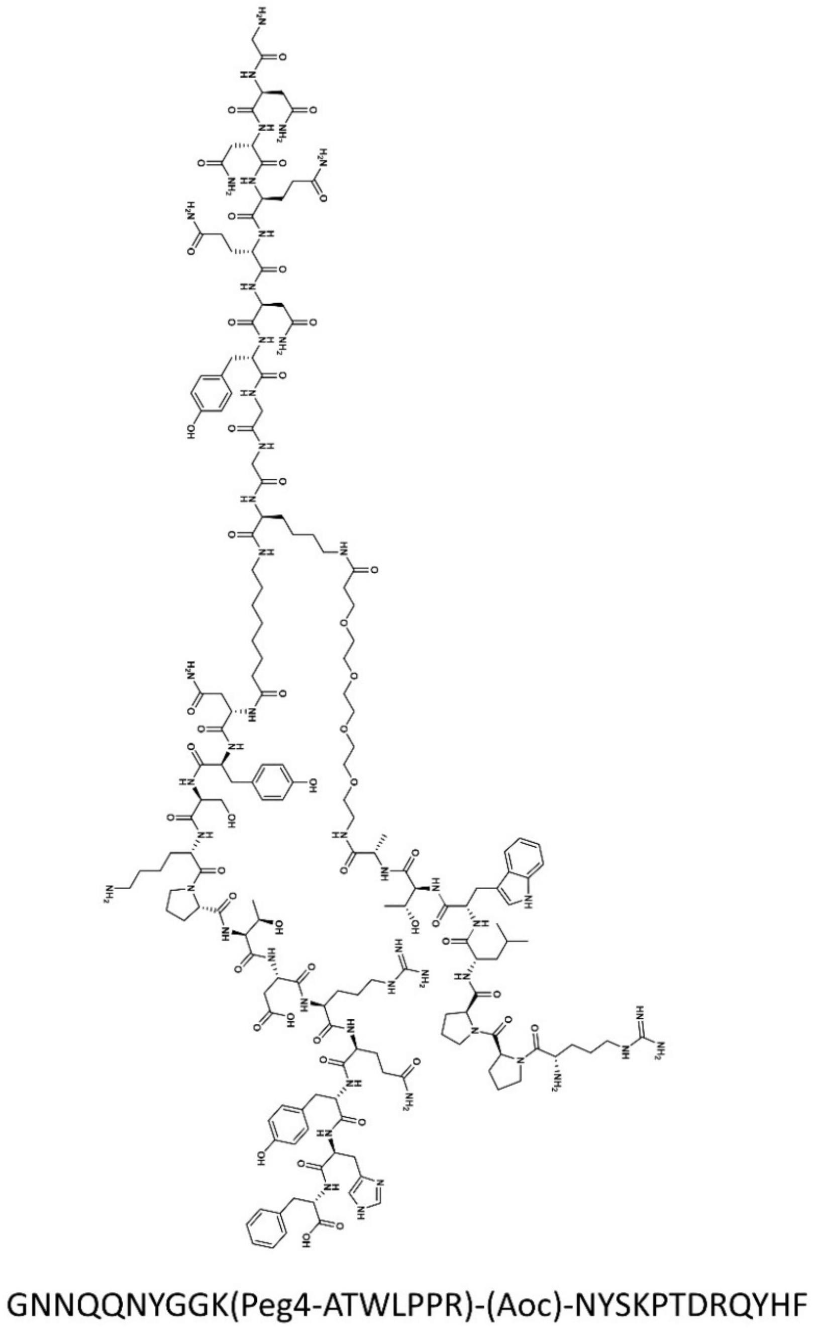 一种多效协同促进的双靶向多肽基分子及其在制备肿瘤治疗药物中的应用的制作方法