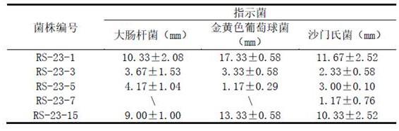 唾液乳杆菌在抗氧化上的应用的制作方法