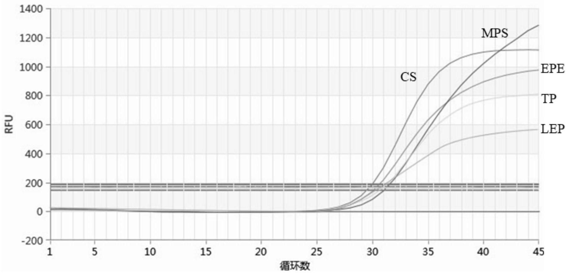 一种猪五体的荧光探针引物、试剂盒及其应用的制作方法