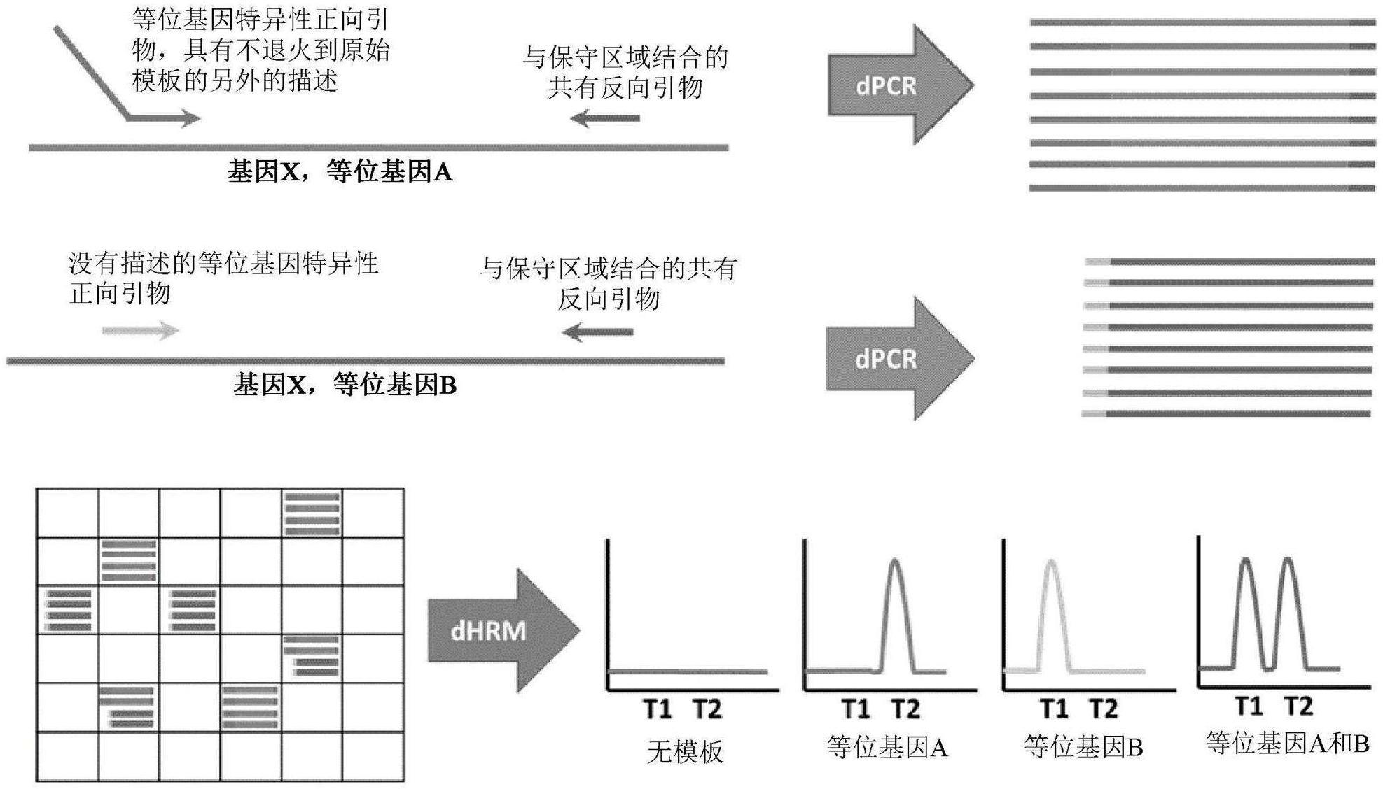 用于分析生物样品的系统和方法与流程