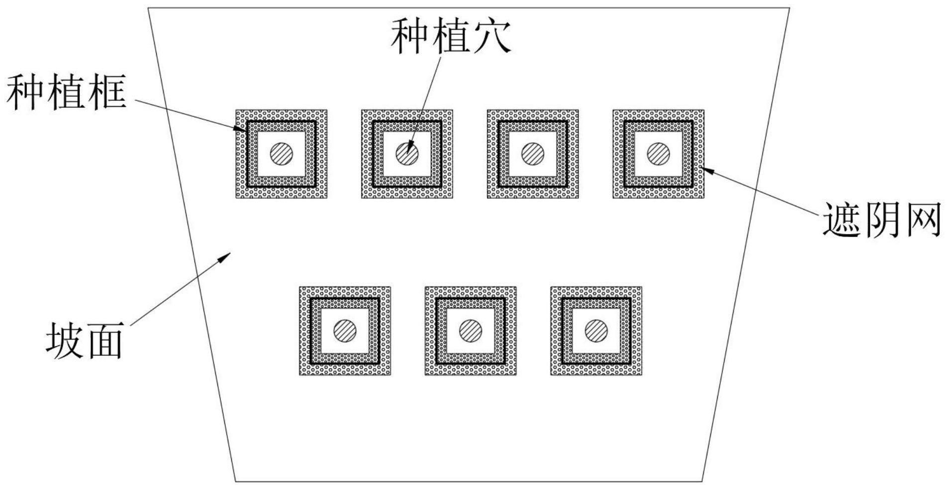 一种山地补丁式油桐种植方法