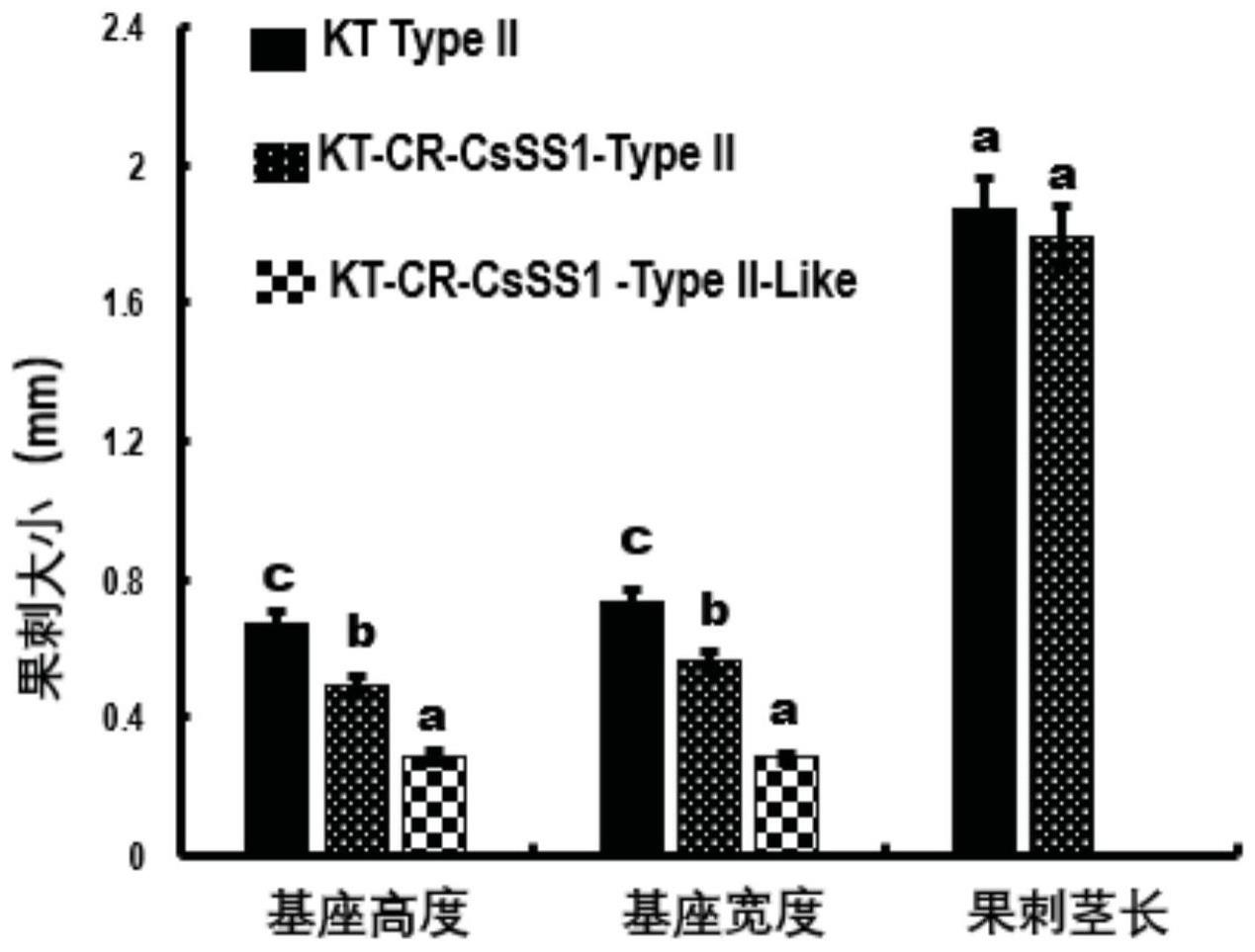 CsSS1基因或其编码的蛋白在调控黄瓜果刺发育中的应用