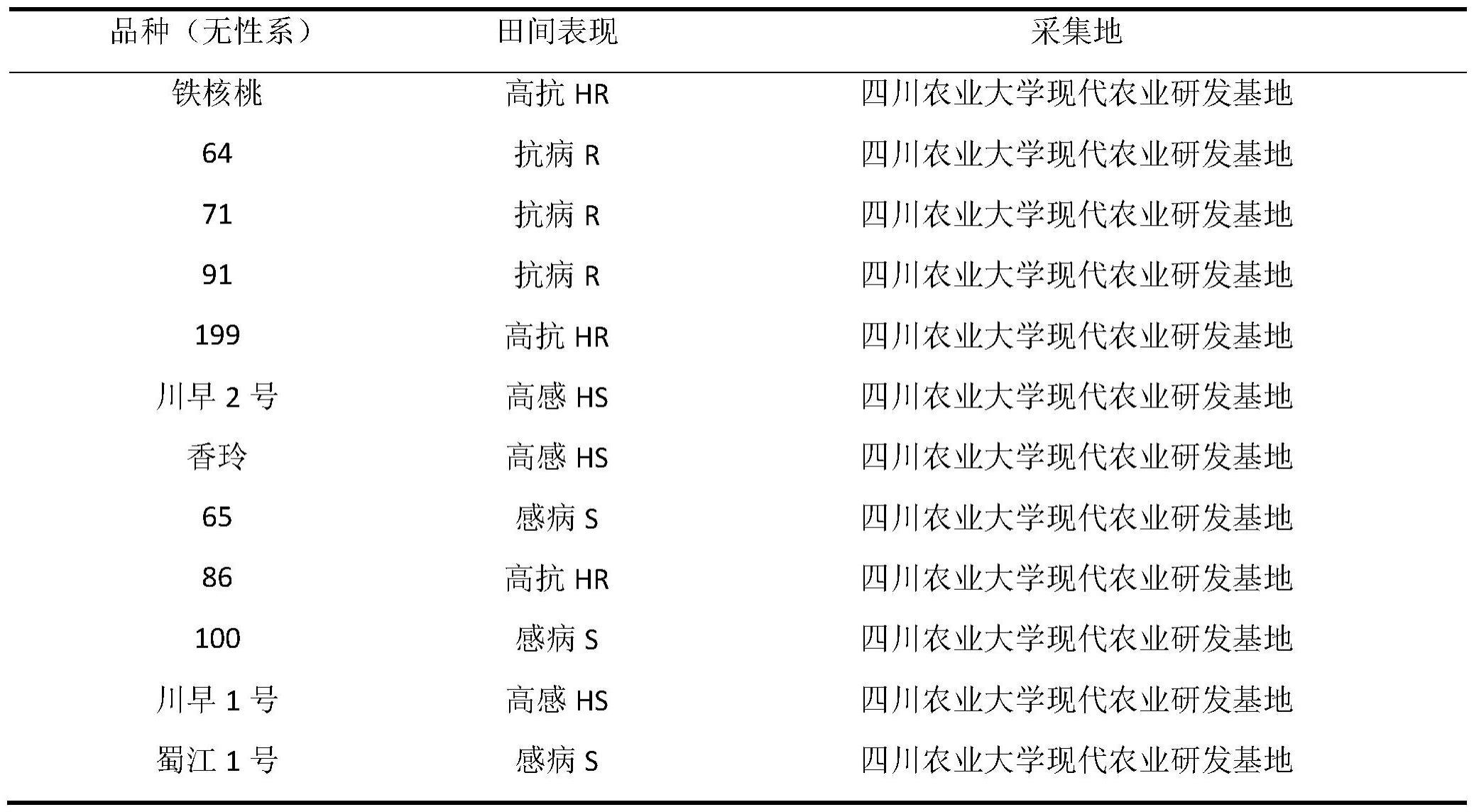 一种用于检测核桃抗黑斑病的SNP标记及其应用