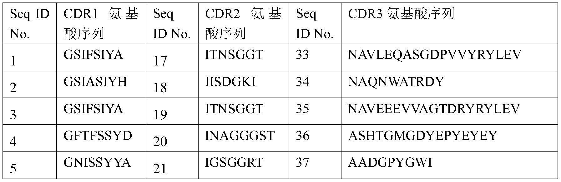抗CD70内化的抗体、抗体偶联物及其应用的制作方法