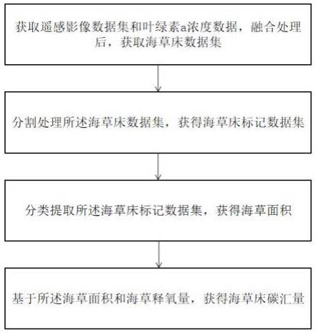 一种基于遥感影像获取海草床碳汇量的方法、装置及设备