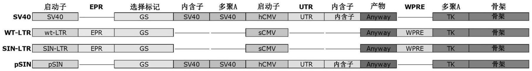 具有多个用于基因插入的Dock的细胞系的制作方法