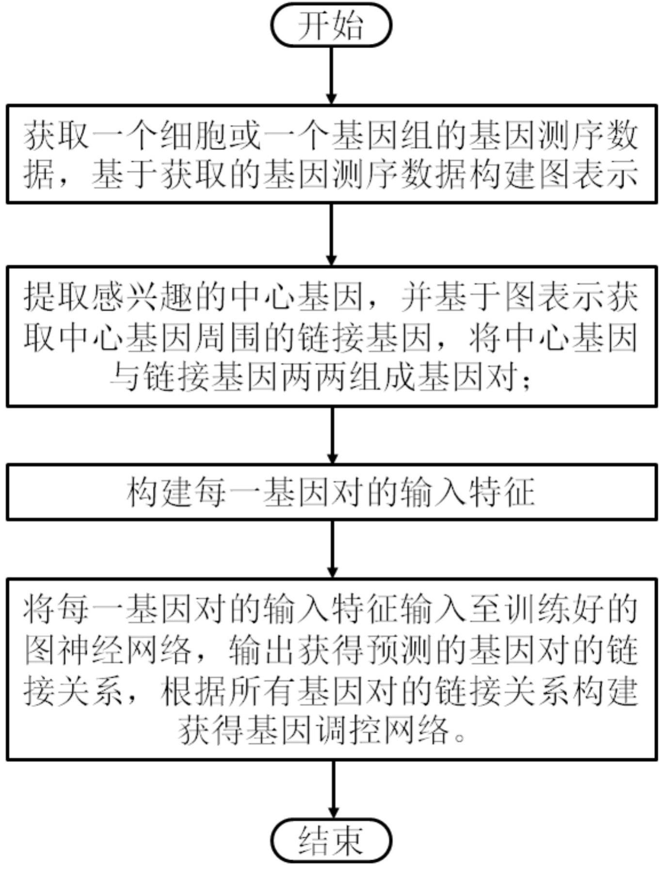 基于图神经网络的基因调控网络构建方法及系统与流程