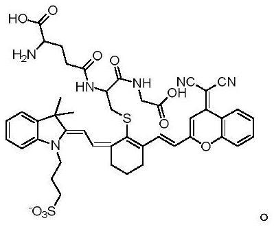 一种检测γ-谷氨酰转肽酶的近红外荧光探针及其制备方法和应用