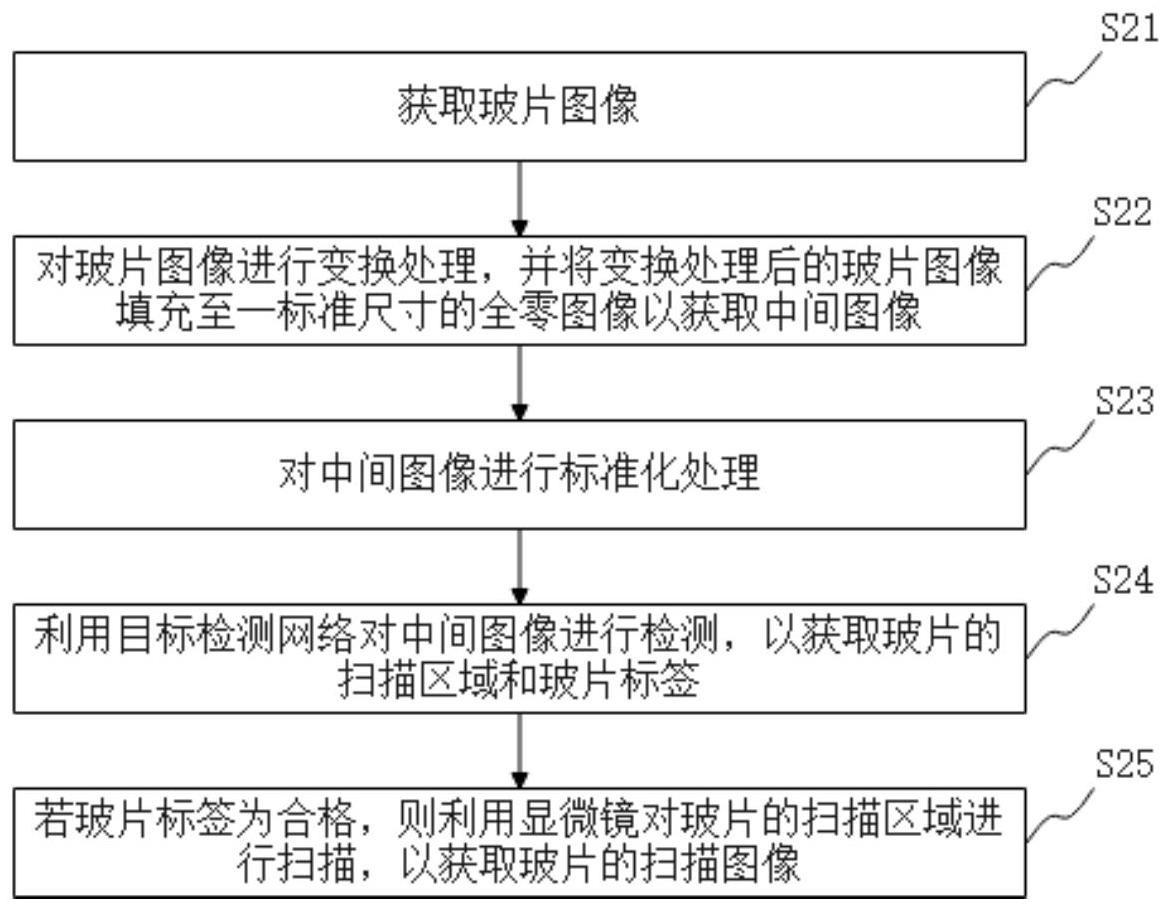 用于快速细胞病理判读的扫描方法、装置、介质及设备与流程