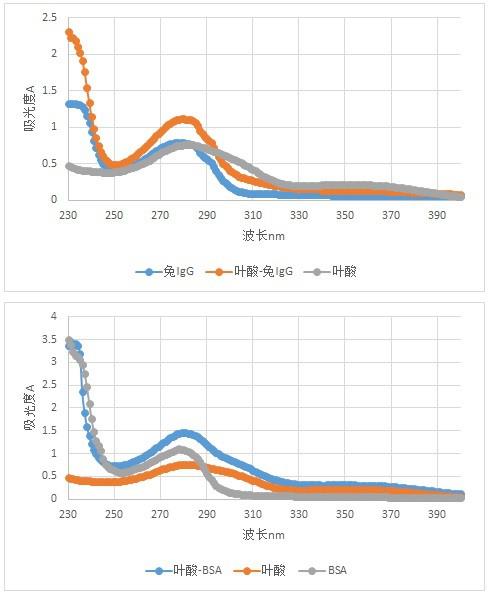 一种叶酸完全抗原和抗体及其制备方法和应用与流程