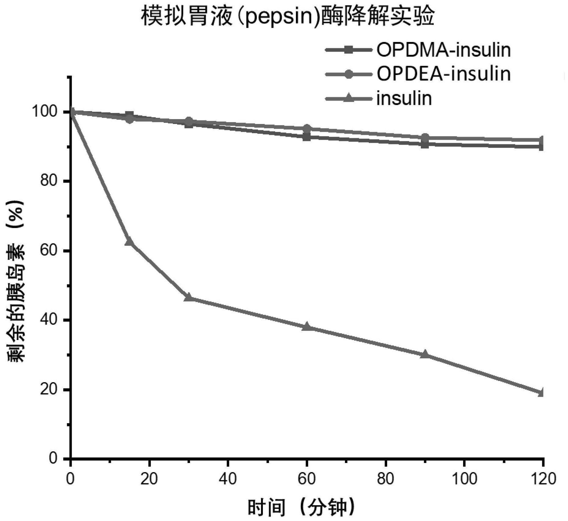 具有高渗透性的含氧化三级胺基团的聚合物-胰岛素偶联物