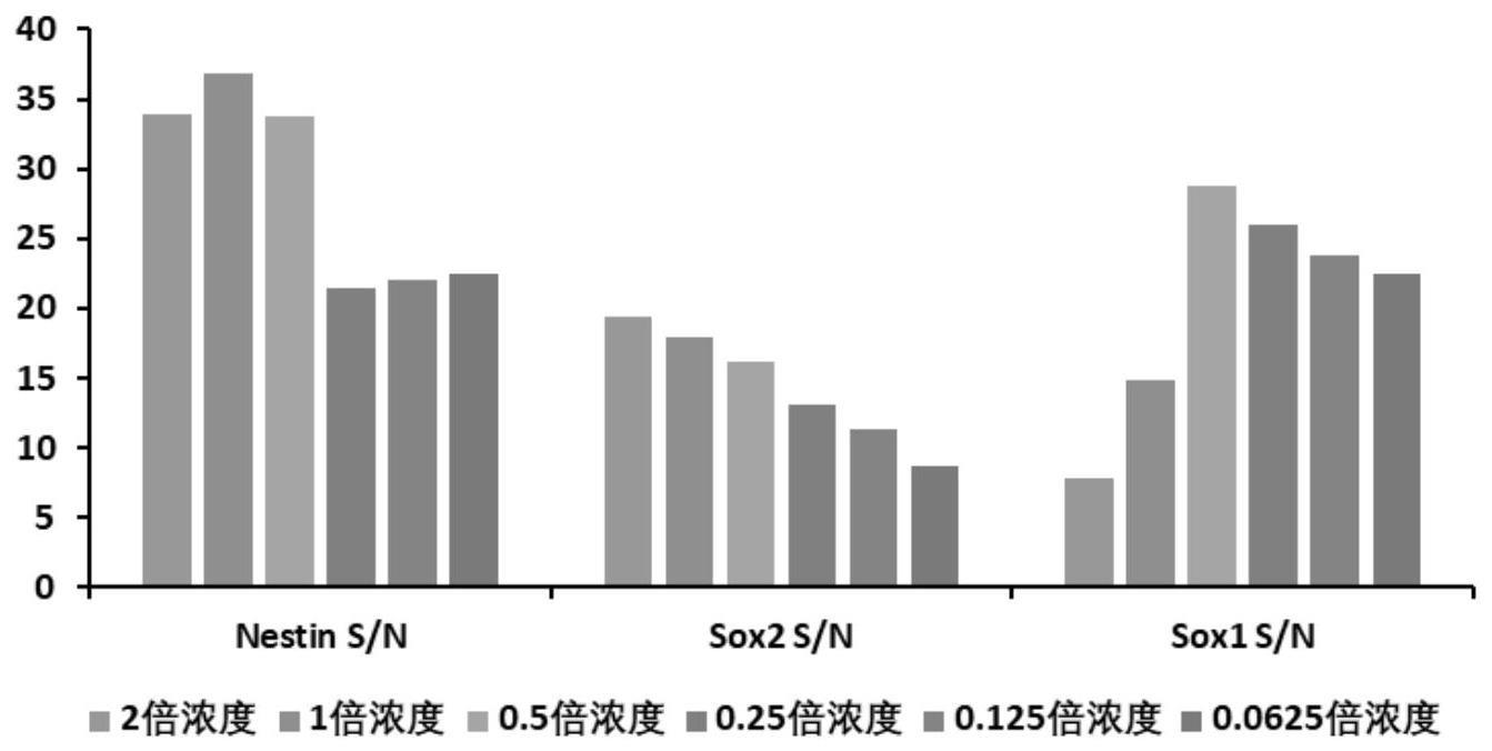 神经干细胞标志物的流式检测方法与流程