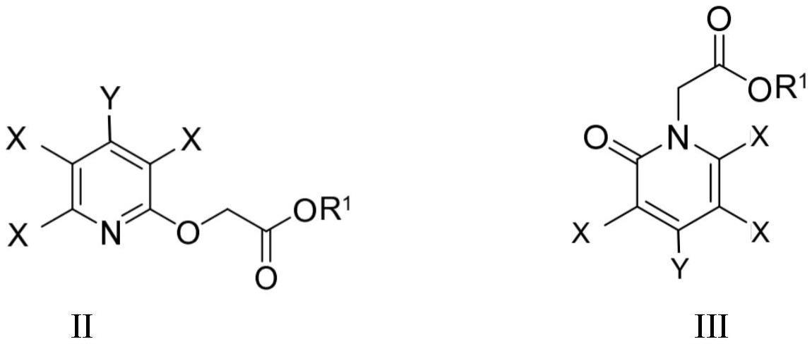 吡氧基乙酸烷基酯的纯化方法及制备方法与流程