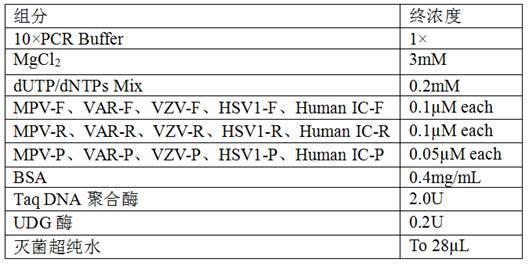 检测引起发热出疹性疾病病毒的组合物及其应用的制作方法