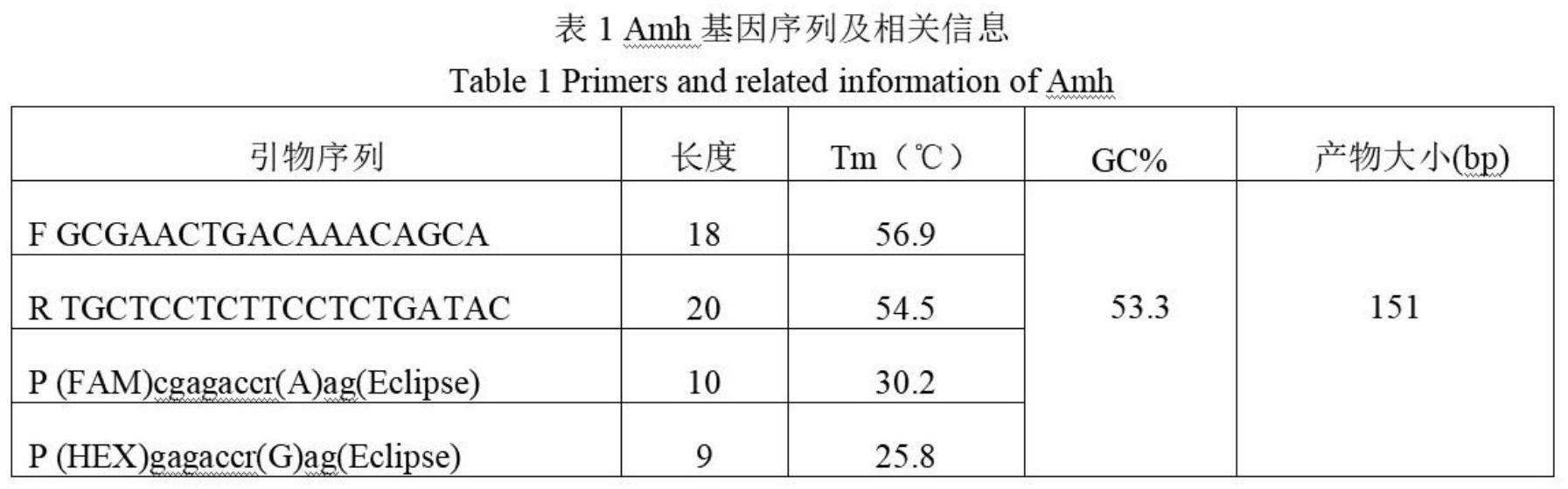 一种基于双荧光标记探针检测尼罗罗非鱼等位基因表达量的方法