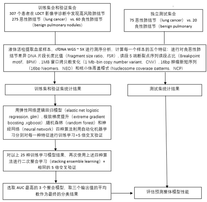 恶性肺结节筛查基因标志物、筛查模型的构建方法和检测装置与流程