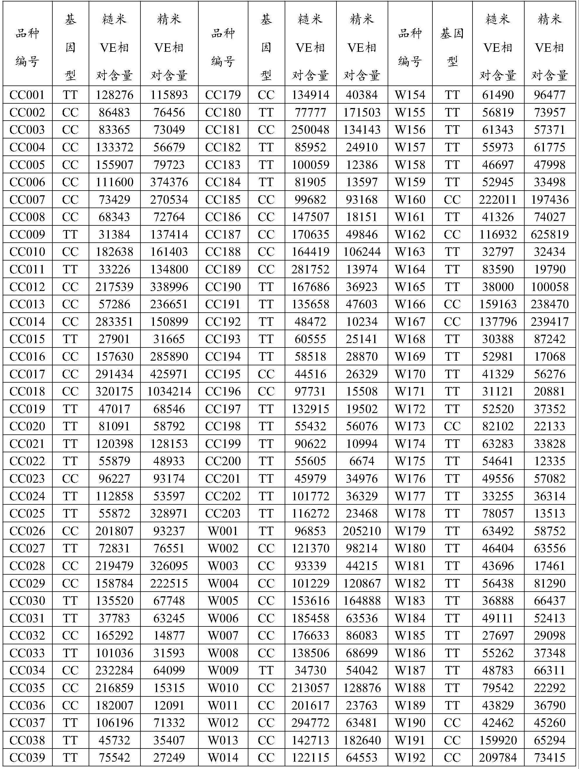 分子标记VEQ2及其应用