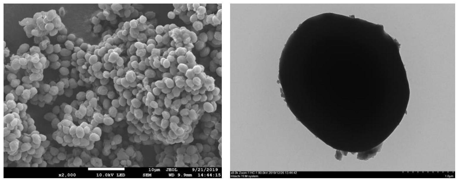 生物炭负载单原子催化剂及在喹唑啉类化合物合成中应用