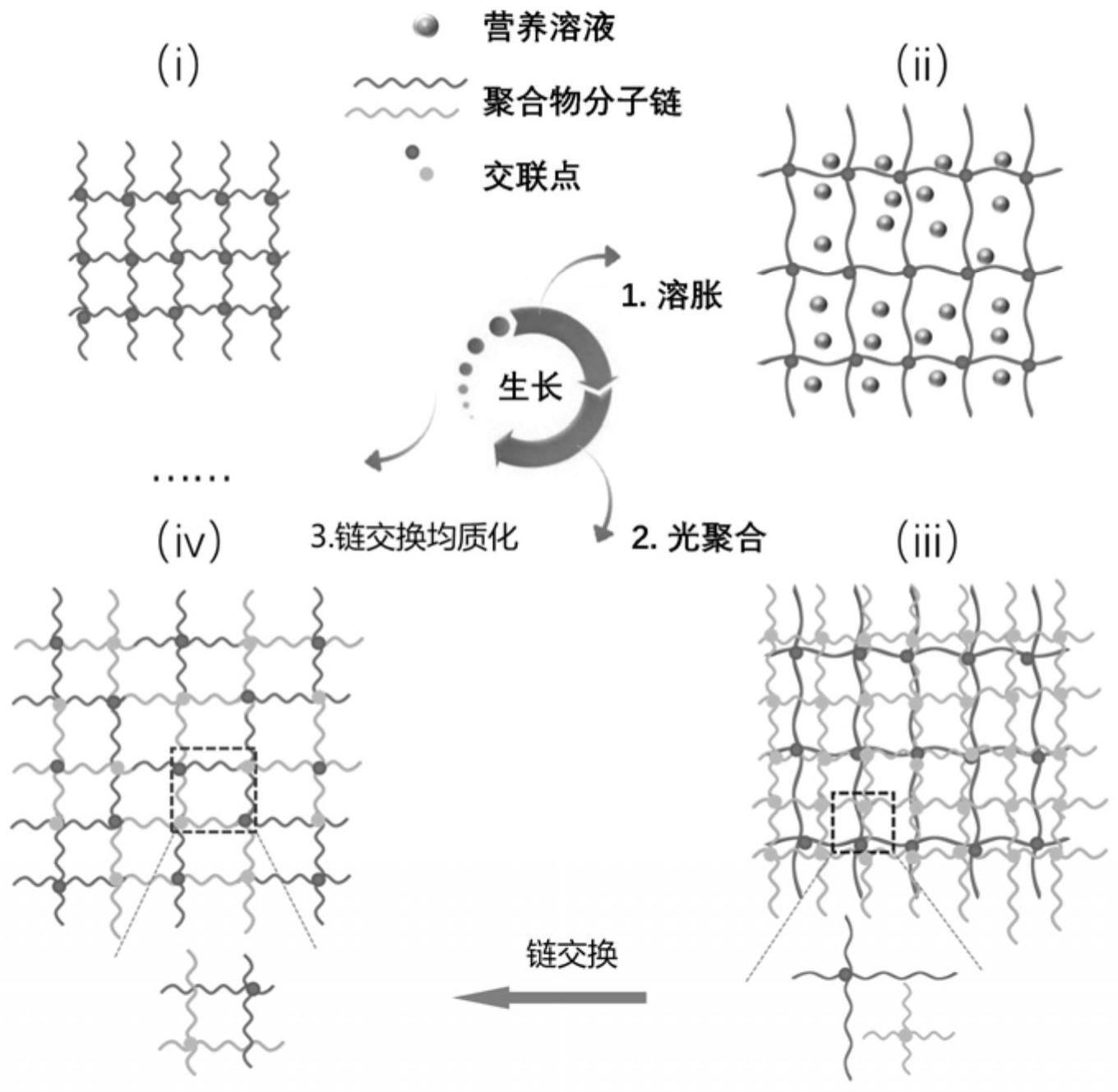 机械性能和多色图案化均可调节的结构色材料及制备方法