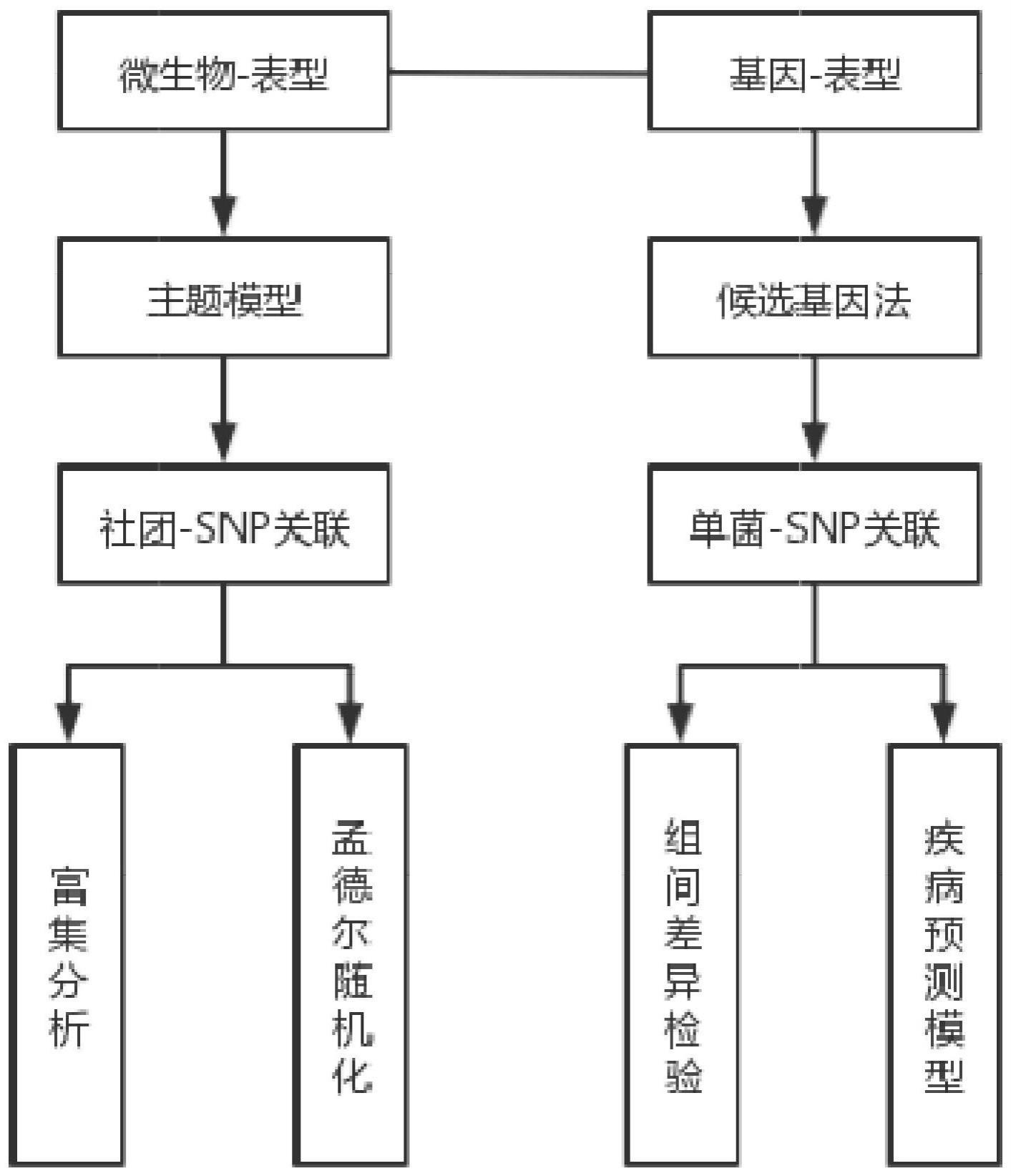 基于微生物与宿主互作的阿尔兹海默症标志物识别方法