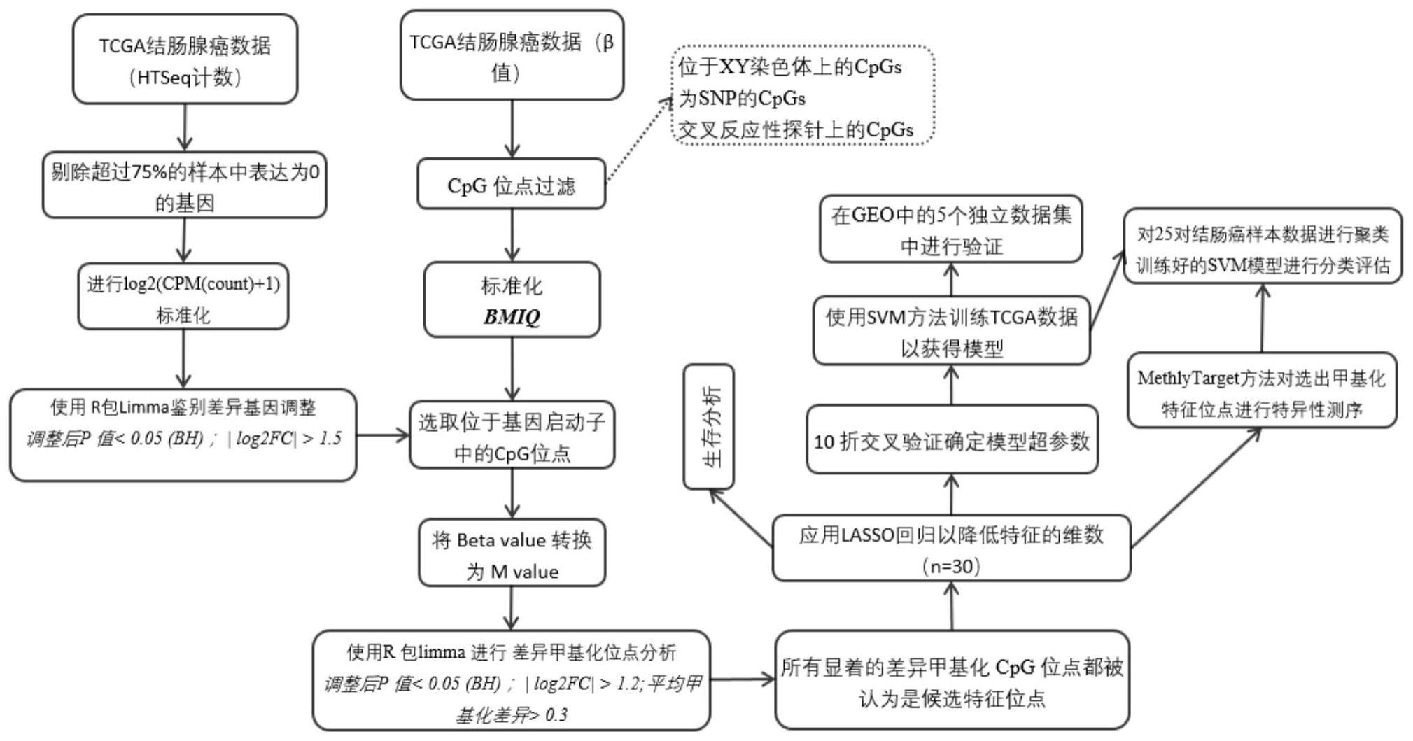 一组结肠癌DNA甲基化分子标志物及其在制备用于结肠癌早期诊断试剂盒中的应用