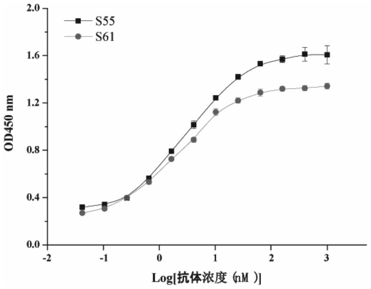 一种结合SARS-CoV-2RBD的鲨鱼源单域抗体及其制备方法和应用