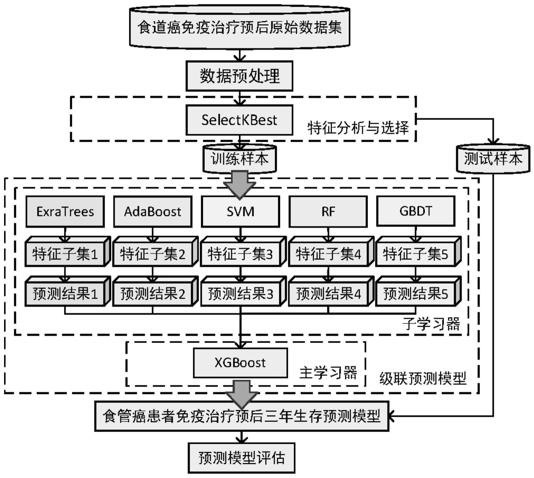 一种食管癌患者免疫治疗预后生存预测方法