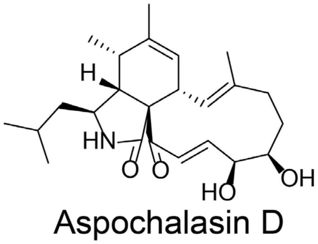 一种发酵生产AspochalasinD的方法